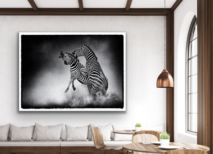 Joe Lategan fighting zebra fine art black and white wildlife photo
