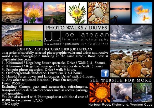 Photo walks and drives