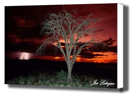 Last Ranger fine art landscape
