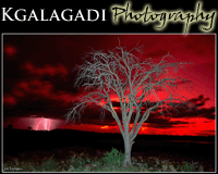 Fine Art Kalahari Photography