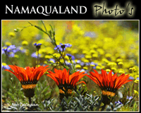 Namaqualnd photo's