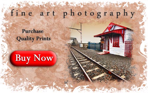 Purchase images from Joe Lategan